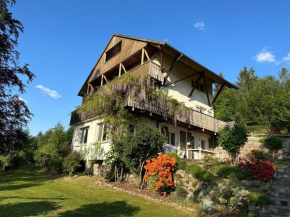 Gérardmer chalet le Belvédere vue lac, piste de ski Gérardmer